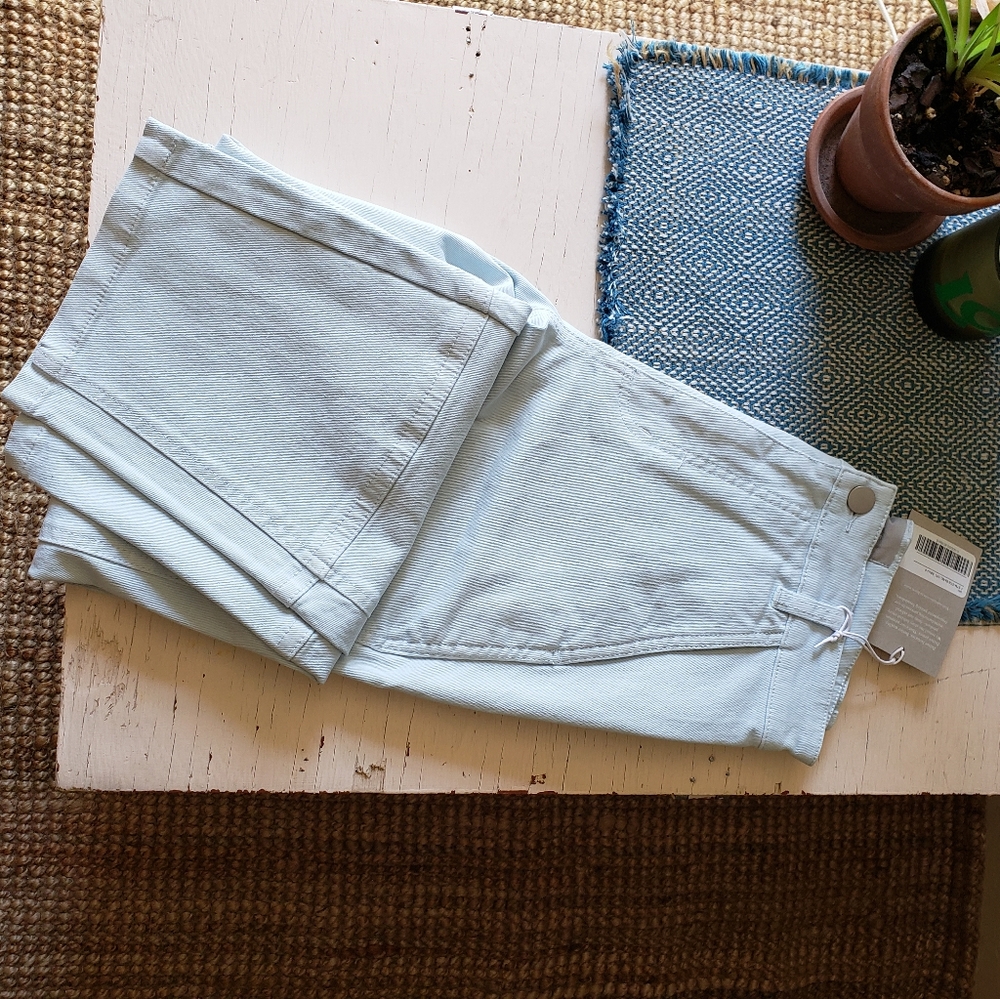 Everlane The Utility Barrel Pant 0 Sky Blue